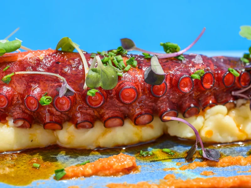 Wow Beach 2026-Gastronomia-04